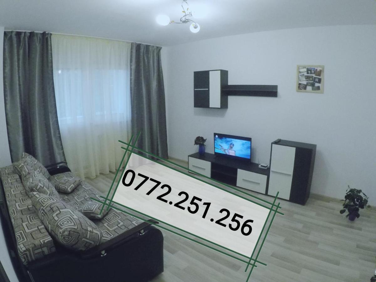 Ama Apartment Mountain View & Parking Brašov Exteriér fotografie