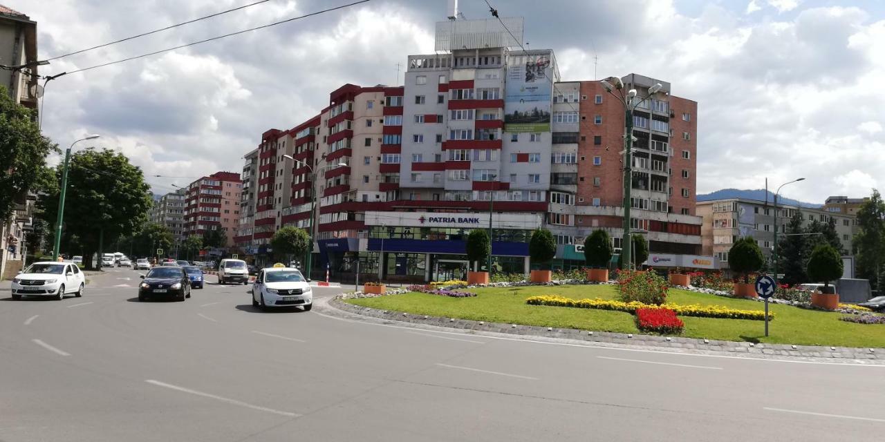 Ama Apartment Mountain View & Parking Brašov Exteriér fotografie