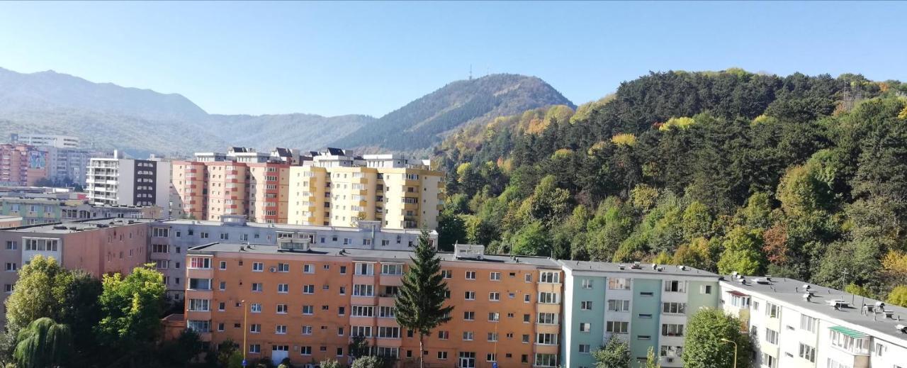 Ama Apartment Mountain View & Parking Brašov Exteriér fotografie